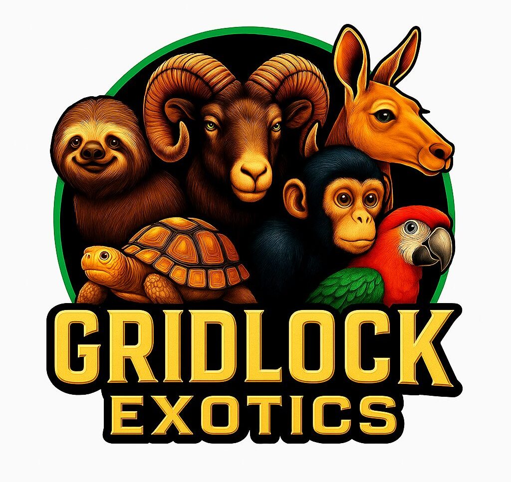 Gridlock Exotics Logo