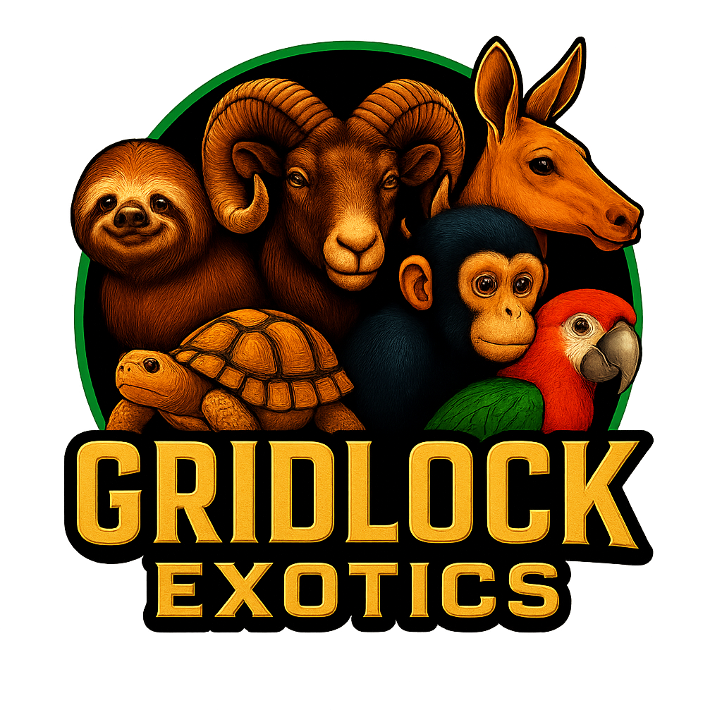 Gridlock Exotics Logo